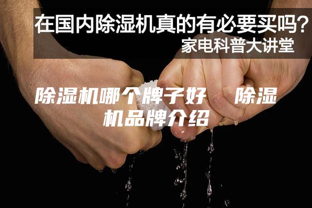 除湿机哪个牌子好  除湿机品牌介绍