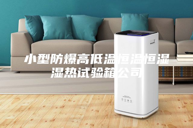 小型防爆高低温恒温恒湿湿热试验箱公司