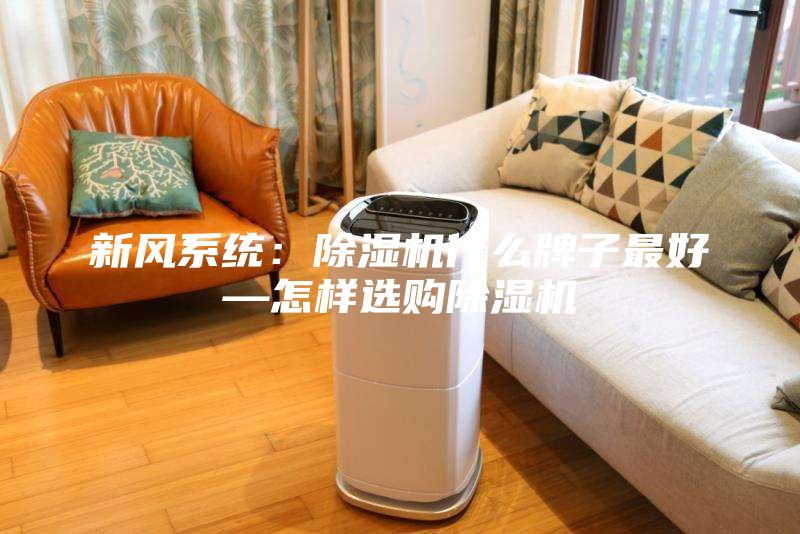 新风系统：除湿机什么牌子最好—怎样选购除湿机