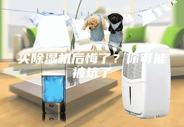买除湿机后悔了？你可能被坑了