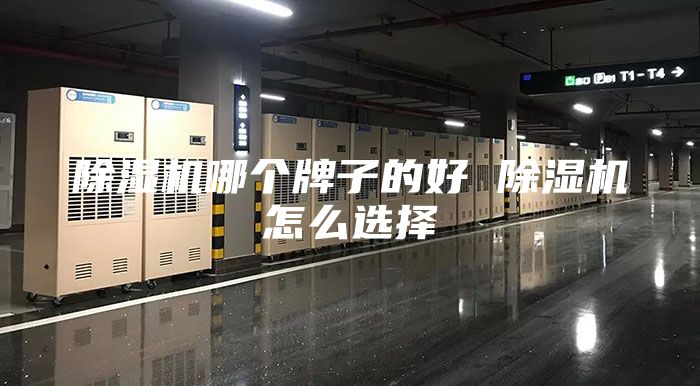 除湿机哪个牌子的好 除湿机怎么选择