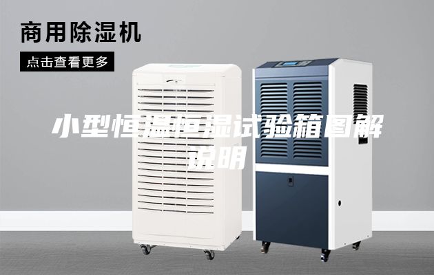 小型恒温恒湿试验箱图解说明