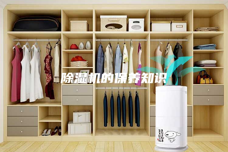 除湿机的保养知识