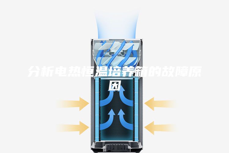 分析电热恒温培养箱的故障原因