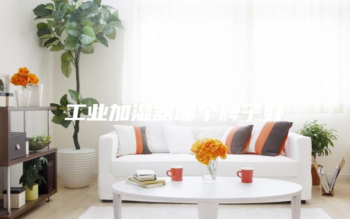工业加湿器哪个牌子好