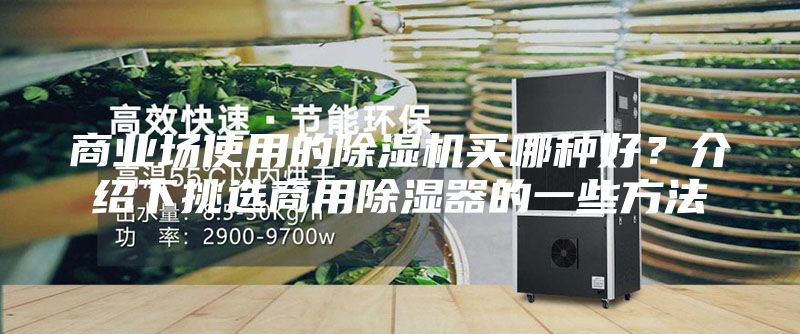 商业场使用的除湿机买哪种好？介绍下挑选商用除湿器的一些方法