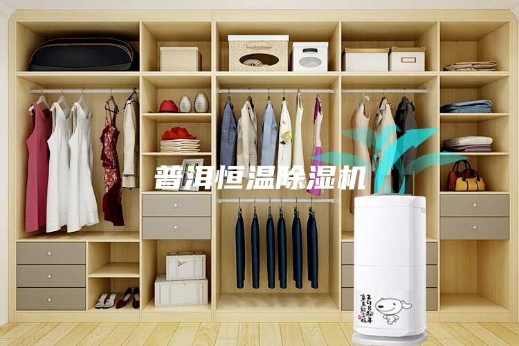 普洱恒温除湿机