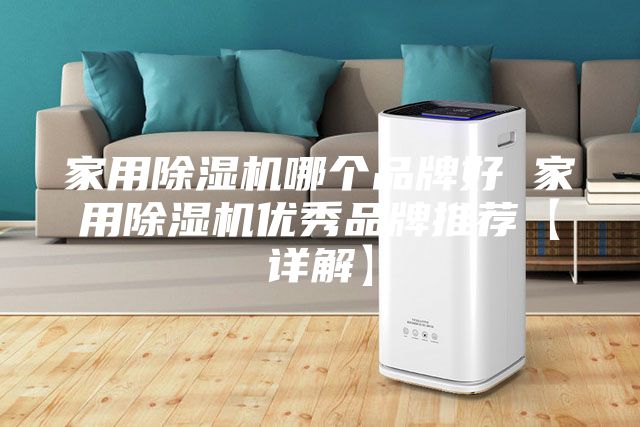 家用除湿机哪个品牌好 家用除湿机优秀品牌推荐【详解】