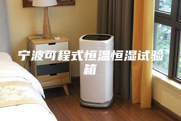 宁波可程式恒温恒湿试验箱