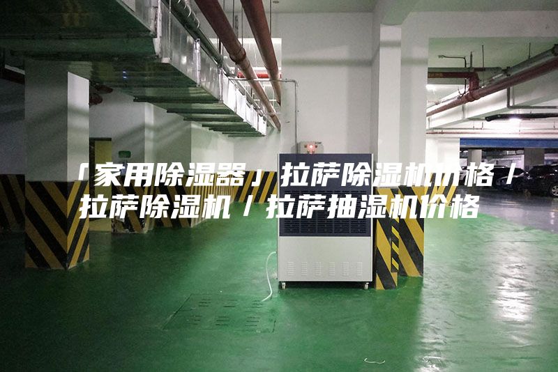 「家用除湿器」拉萨除湿机价格／拉萨除湿机／拉萨抽湿机价格
