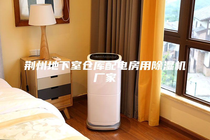 荆州地下室仓库配电房用除湿机厂家