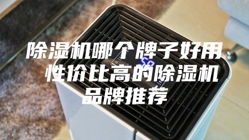 除湿机哪个牌子好用 性价比高的除湿机品牌推荐