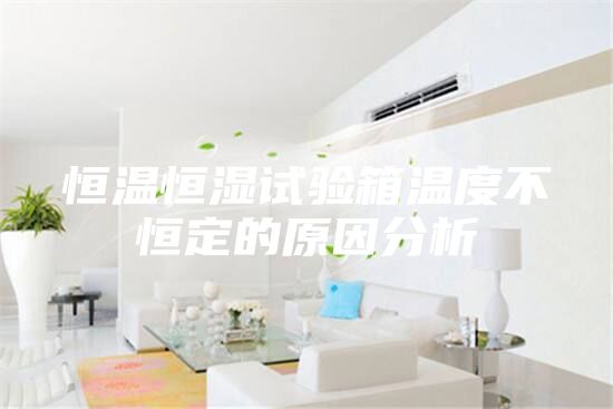 恒温恒湿试验箱温度不恒定的原因分析