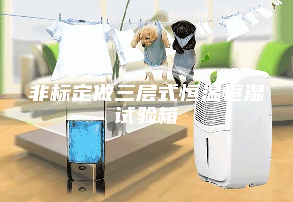 非标定做三层式恒温恒湿试验箱