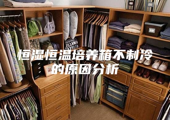 恒湿恒温培养箱不制冷的原因分析