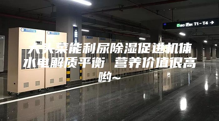 大头菜能利尿除湿促进机体水电解质平衡 营养价值很高哟~