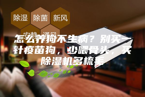 怎么养狗不生病？别买一针疫苗狗，少喂骨头，买除湿机多梳毛