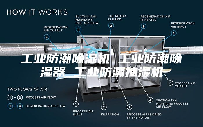 工业防潮除湿机 工业防潮除湿器 工业防潮抽湿机