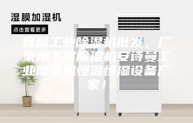 宜昌工业除湿机批发，厂家地下室除湿机安诗曼工业除湿机恒温恒湿设备厂家！