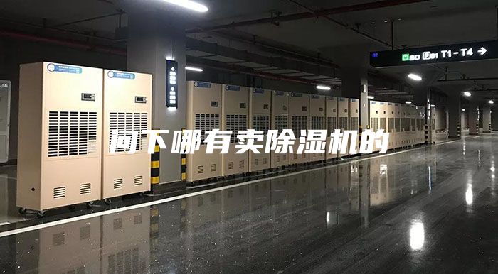 问下哪有卖除湿机的