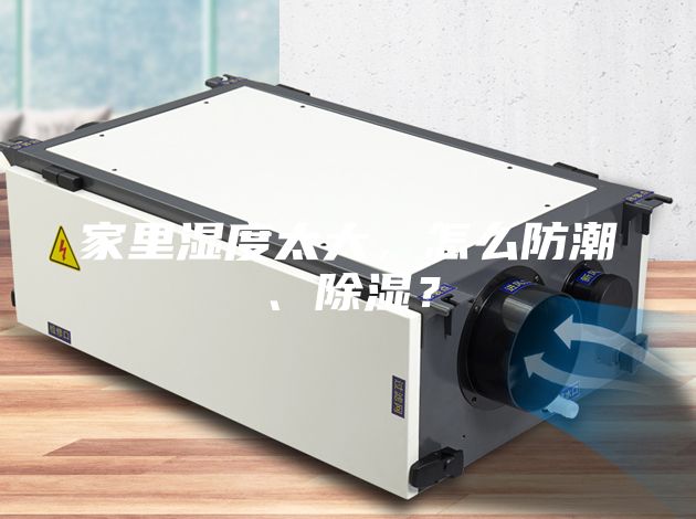 家里湿度太大，怎么防潮、除湿？