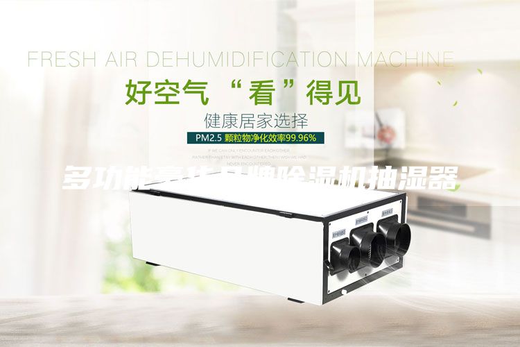多功能豪华品牌除湿机抽湿器