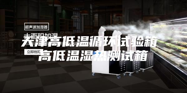 天津高低温循环试验箱 高低温湿热测试箱