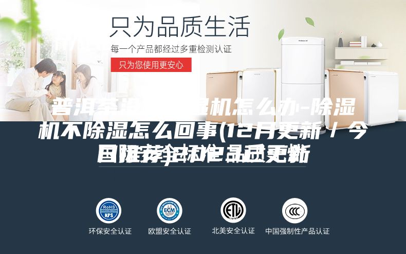普洱茶没有除湿机怎么办-除湿机不除湿怎么回事(12月更新／今日推荐)2023已更新