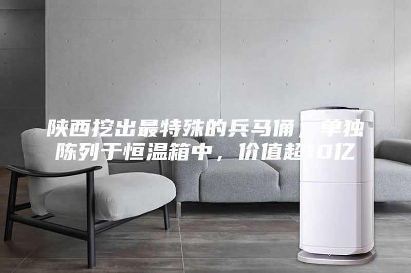 陕西挖出最特殊的兵马俑，单独陈列于恒温箱中，价值超10亿