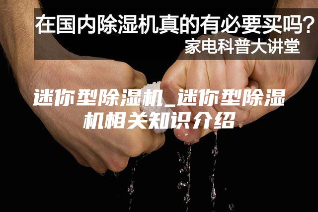 迷你型除湿机_迷你型除湿机相关知识介绍