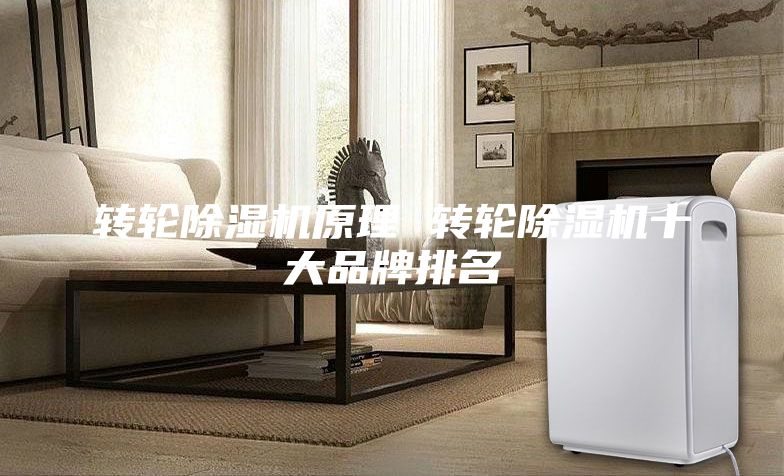 转轮除湿机原理 转轮除湿机十大品牌排名