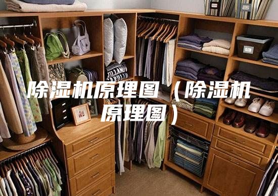 除湿机原理图（除湿机原理图）
