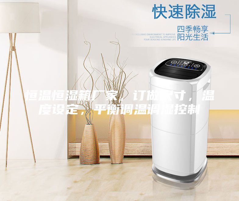 恒温恒湿箱厂家，订做尺寸，温度设定，平衡调温调湿控制
