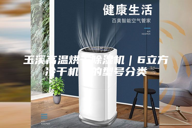 玉溪高温烘干除湿机｜6立方冷干机｜的型号分类