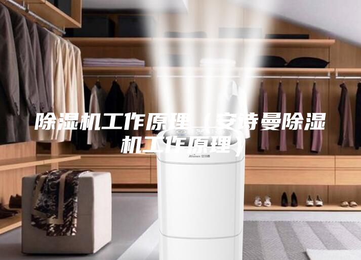 除湿机工作原理（安诗曼除湿机工作原理）