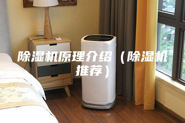 除湿机原理介绍（除湿机推荐）