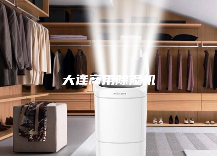 大连商用除湿机