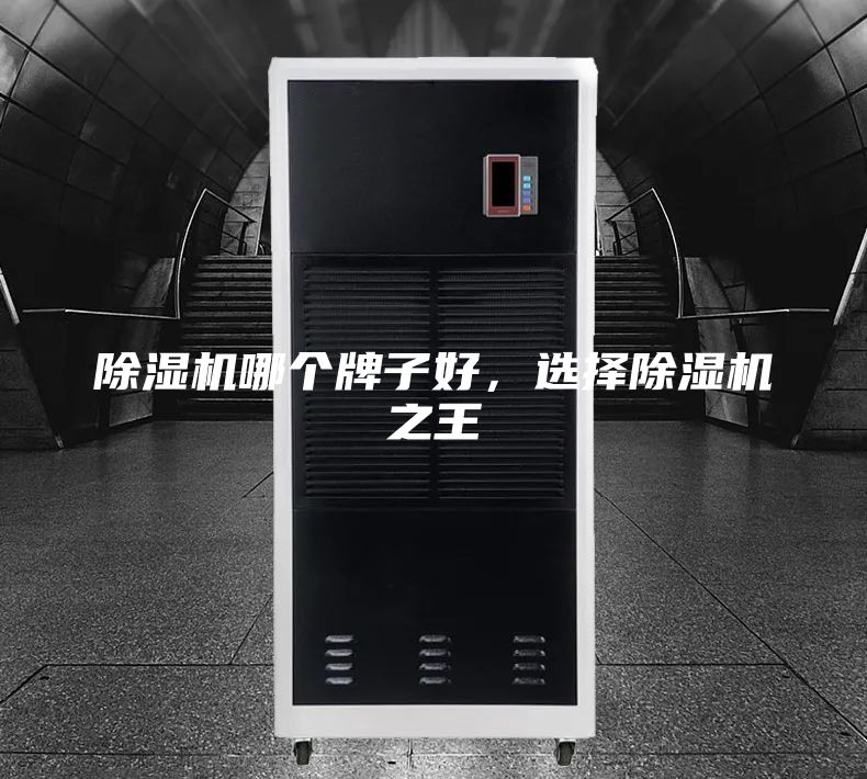 除湿机哪个牌子好，选择除湿机之王