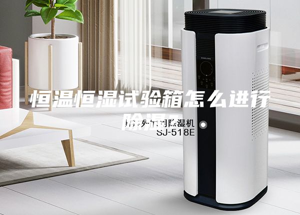 恒温恒湿试验箱怎么进行除湿？