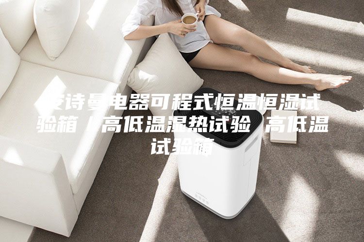 安诗曼电器可程式恒温恒湿试验箱／高低温湿热试验 高低温试验箱