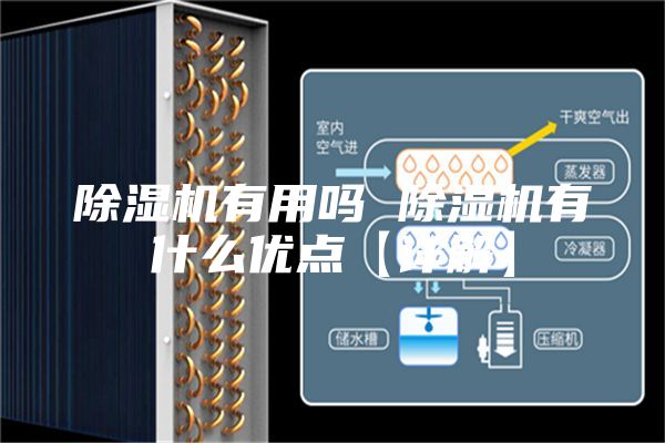 除湿机有用吗 除湿机有什么优点【详解】