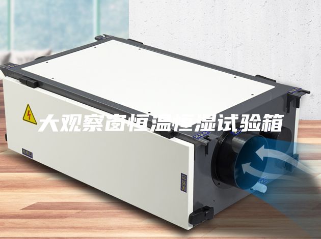 大观察窗恒温恒湿试验箱