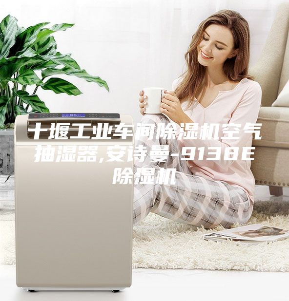 十堰工业车间除湿机空气抽湿器,安诗曼-9138E除湿机
