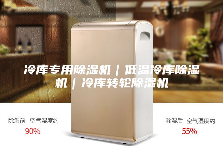 冷库专用除湿机｜低温冷库除湿机｜冷库转轮除湿机