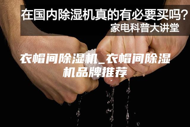 衣帽间除湿机_衣帽间除湿机品牌推荐
