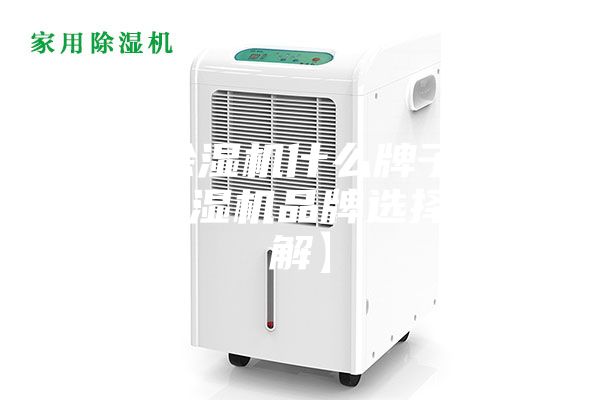 家用除湿机什么牌子好 家用除湿机品牌选择【详解】