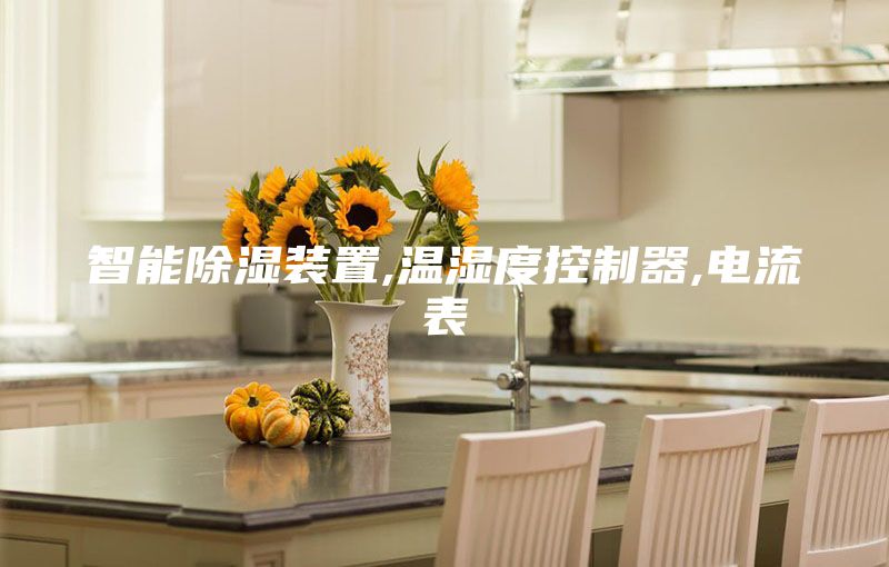 智能除湿装置,温湿度控制器,电流表