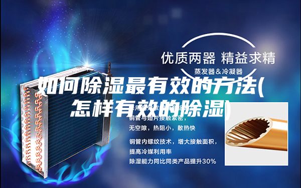 如何除湿最有效的方法(怎样有效的除湿)