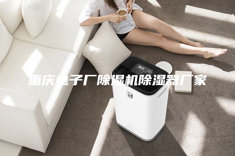 重庆电子厂除湿机除湿器厂家