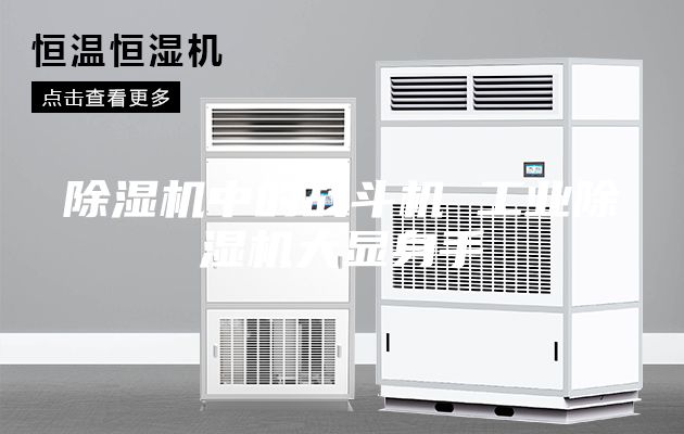 除湿机中的战斗机 工业除湿机大显身手